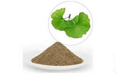 Extracto de Ginkgo Biloba